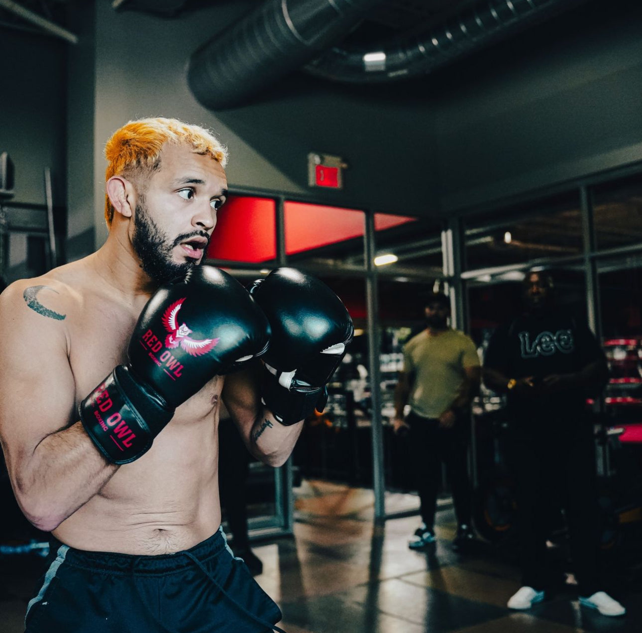 Red Owl Boxing Gloves