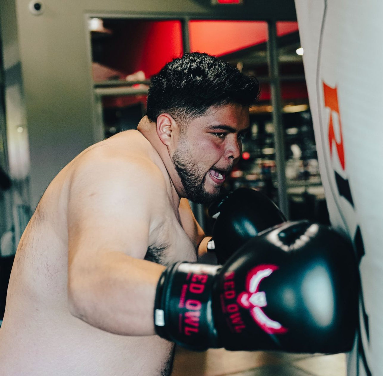 Red Owl Boxing Gloves